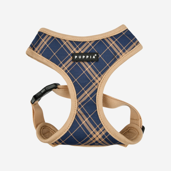 CORWIN HARNESS A